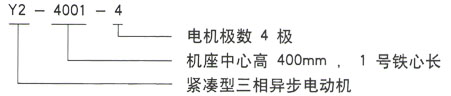 Y2系列三相異步電機(jī)技術(shù)參數(shù)——西安泰富西瑪電機(jī)（西安西瑪電機(jī)集團(tuán)股份有限公司）官方網(wǎng)站